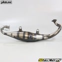 Scarico Yasuni Silenziatore carbonio R Peugeot Ludix orizzontale, Speedfight 3 ... 50 2T