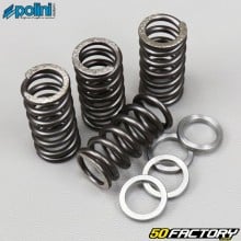 Clutch springs AM6 minarelli Polini (with wedges)