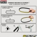 Cinghia Gilera Runner,  Piaggio Skipper 125...22.1x812 mm Bando