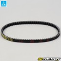 Belt Aprilia Scarabeo, Benelli K2 100 ... 17.7x776 mm Mitsuboshi