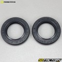 Can-Am swingarm bearings and oil seals Outlander 500, 550, 650 ... Moose Racing