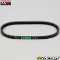 Belt Sym Euro MX  et  Shark 125 19.5x790mm Bando