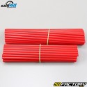 Red spoke covers (kit)