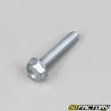 Hexagonal head screw threaded base (individually)