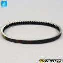 Belt Aprilia Habana,  Gilera Runner 125... 22.9x820 mm Mitsuboshi