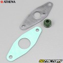 Engine seals Aprilia Futura, Red Rose 125 ... Rotax engine 123 Athena