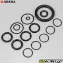 Joints moteur Aprilia Futura, Red Rose 125... moteur Rotax 123 Athena