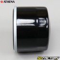 Oil filter FFP013 Yamaha yfm, Kymco... Athena