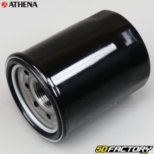 Oil filter FFP016 Polaris, Victory... Athena