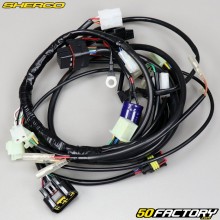 Fascio ellettrico Sherco SE-R, SM-R 50 (2013 - 2016)