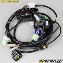 Wiring harness Sherco SE-R, SM-R 50 (2013 to 2017)