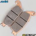 Daelim sintered metal brake pads Daystar 125, Honda CBR 1000, Indian Chieftain 1800 ... Polini