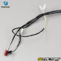 Original wiring harness Piaggio Zip 2T (from 2000)