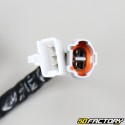 Bloco de controle Yamaha PW 50