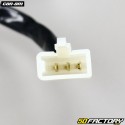 Luz trasera roja Can-Am DS 250, Sym Cuadraider 600, KTM, Peugeot,  Derbi,  Yamaha...