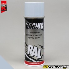 Peinture Auto-K gris argent