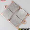 Sintered metal brake pads Yamaha TZR 125,YZF 600,XSR 900 ... Braking Racing Evo