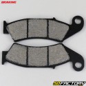 Organic brake pads Honda TRX, XLR  250 ... Braking