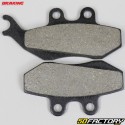 Pastillas de freno orgánicas Yamaha TZR 50, Derbi DRD Racing 50, Beta RR Enduro 50 ... Braking