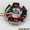 Ignition stator type Ducati AM6 (mounting possible on Derbi)