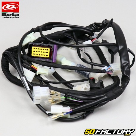 Electrical harness Beta RR 50 Enduro, Biker (since 2021)