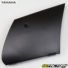 Front left fairing side cover Yamaha TZR and MBK Xpower (since 2003)