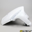 Front fairing
 Piaggio Zip (since 2000) V1 white