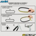 Belt Piaggio Liberty  et  Vespa Primavera,  Sprint 19.8x788 mm Polini kevlar
