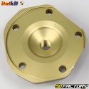 Rotax original type cylinder head dome 122, 123 Aprilia RS, AF1, Red Rose 125 ... Italkit