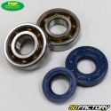 Bearings and seals crankshaft Minarelli vertical and horizontal MBK Booster,  Nitro... Top Performances