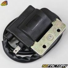 Ignition coil Peugeot 103, MBK 51, Motobécane (ignition switch) black