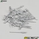 Rivets Ribimex (lot de 320)