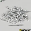 Ribimex rivets (set of 320)