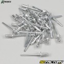 Ribimex rivets (set of 320)