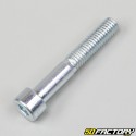 Tornillo 8x50mm cabeza BTR (por unidad)