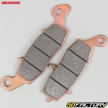 Sintermetallbremsbeläge Suzuki  SV XNUMX, Kawasaki Z XNUMX, VN XNUMX ... Braking  Evo