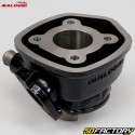 Cylindre piston fonte Ø40mm Minarelli horizontal liquide Mbk Nitro, Yamaha Aerox... 50 2T Malossi (axe Ø10mm)