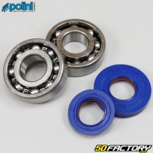 Bearings and seals crankshaft Minarelli vertical and horizontal MBK Booster,  Nitro... Polini