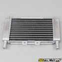 Radiator Gilera Runner,  DNA,  Piaggio Zip SP1, SP2