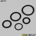 Ribimex O-rings (set of 419)