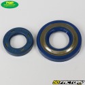 Crankshaft bearings and seals Vespa Primavera, ET3 Top Performances