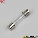BGS Round Glass Fuses (Set of 120)