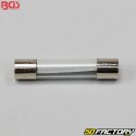 BGS Round Glass Fuses (Set of 120)