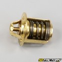 Thermostat AMXNUMX Minarelli, MBK Nitro, Aerox ...