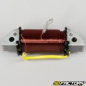 Bobina di illuminazione Yamaha DT MX 50, DTR50, RD50, FS1 e MBK ZX (fino a 1995)