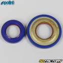 Crankshaft bearings and seals Vespa PK, Primavera... 50, 125 Polini  V2