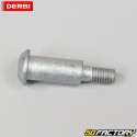 Albero del pedale del freno posteriore Derbi Senda,  Gilera SMT,  RCR,  Aprilia...