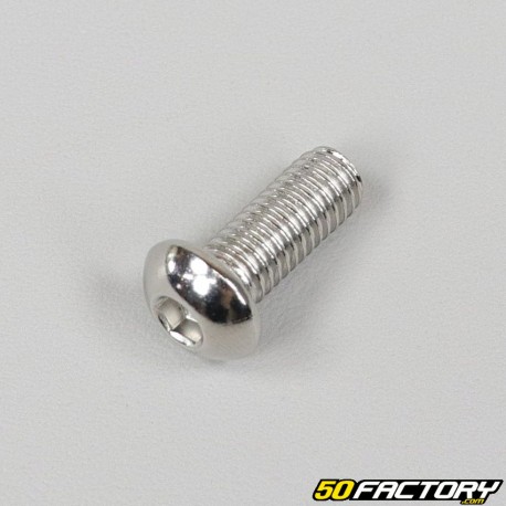 Vis 8x20mm tête BTR bombée inox (à l'unité)