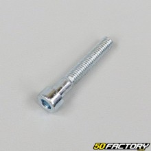 Tornillo 5x30mm cabeza BTR  (por unidad)