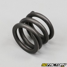 Molla per tubo tuffo forcella Honda CLR 125 (1998 - 2003)